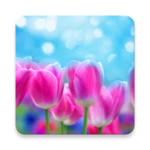 Logo of Spring Flower Live Wallpaper android Application 