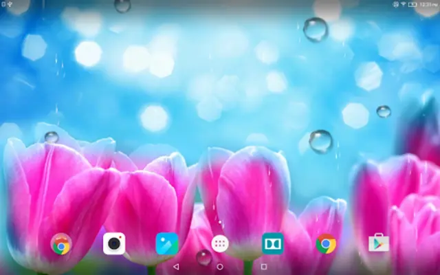 Spring Flower Live Wallpaper android App screenshot 0