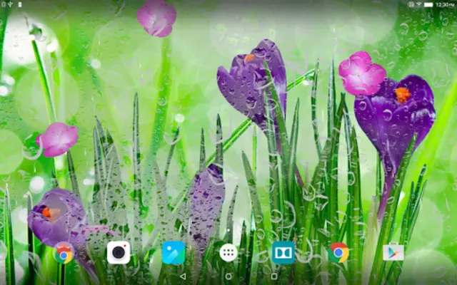 Spring Flower Live Wallpaper android App screenshot 1