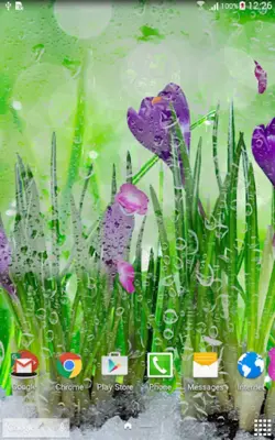 Spring Flower Live Wallpaper android App screenshot 3